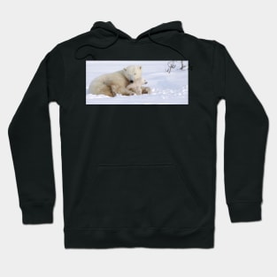 Polar bear and cub Hoodie